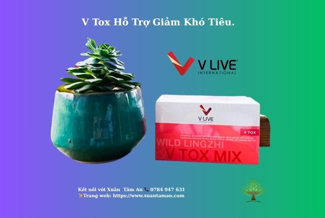 Sản Phẩm V Tox – Giải Pháp Thanh Lọc Tự Nhiên, An Toàn Từ Thảo Dược Quý Hiếm
